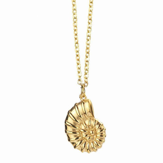 donna you joia delicada dourada feminina ocean style